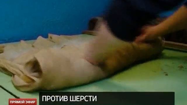 Русские валенки имеют австралийские корни смотреть онлайн