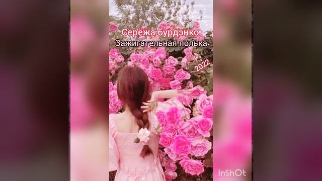 цыганская полька 2022 смотреть онлайн