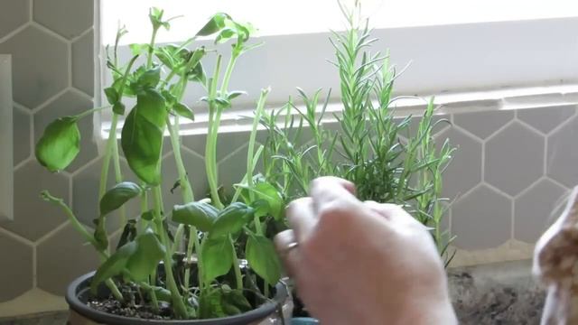 Family of 6 What We Eat in a Day смотреть онлайн