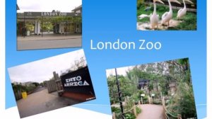 достопримечательности россии на английском языке с переводом