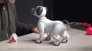 Sony Aibo - Робо Собака за 3000$ (Unbox Therapy RU)