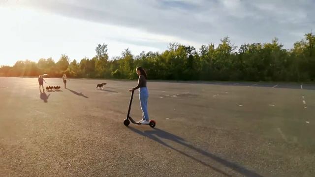 Электросамокат для начинающих Ninebot ES1L смотреть онлайн