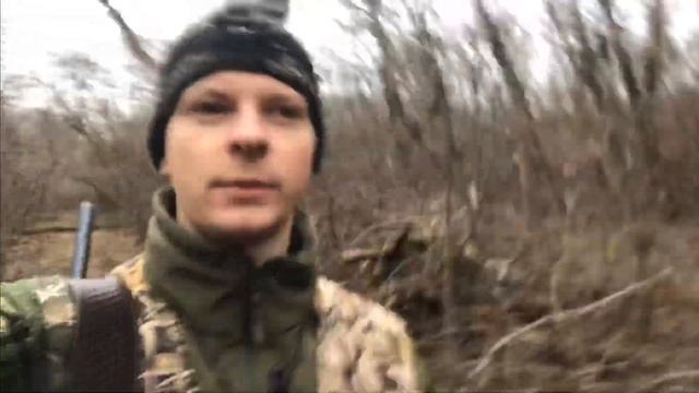 Охота на зайца.ЧУТЬ НЕ НАСТУПИЛ.Много ушастых в этом сезоне! смотреть онлайн