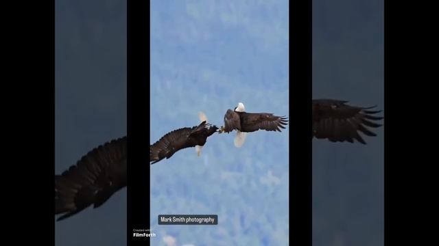 НА СВЕТЕ СЧАСТЬЯ НЕТ, НО ЕСТЬ ПОКОЙ И ВОЛЯ смотреть онлайн