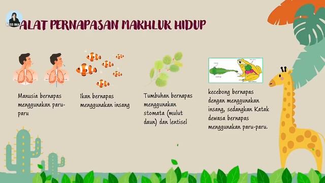 CIRI CIRI MAKHLUK HIDUP || KELAS 3 SD MATERI IPA TEMA 1 SUBTEMA 1 смотреть онлайн