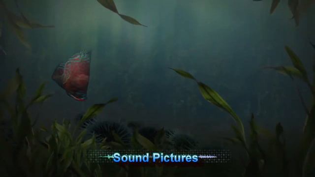 "Sound Pictures" | Roland Jupiter Xm смотреть онлайн