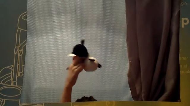 Angry Birds- Rio trap.MP4 смотреть онлайн