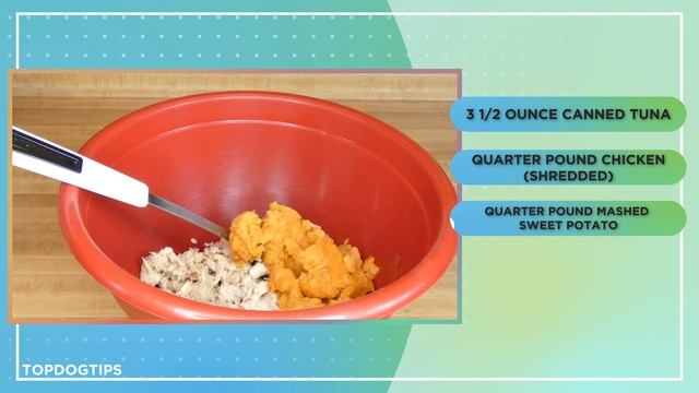 Easy Homemade Cat Food Recipe with 4 Ingredients смотреть онлайн