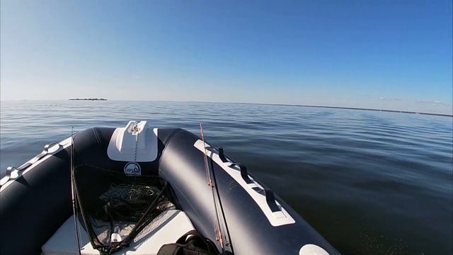 оз. Вуокса vs Финский залив, где рыбы больше. Тест на скорость риб с мотором 9.9(20л.с.) смотреть онлайн