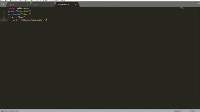 Как открыть сайт с помощью Python3