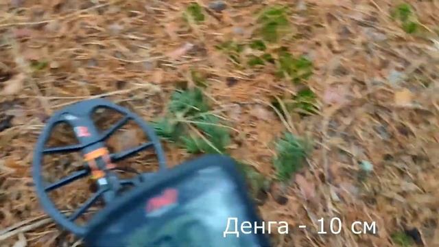 Тест на полигоне - Minelab Equinox 800 (15x12" DD Smart Coil) смотреть онлайн