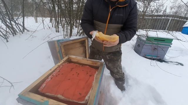 КАК ОПРЕДЕЛИТЬ ЧТО У ПЧЁЛ ВЕСНОЙ ЗАКОНЧИЛИСЬ КОРМА | ЗИМОВКА ПЧЁЛ НА УЛИЦЕ. пасека смотреть онлайн