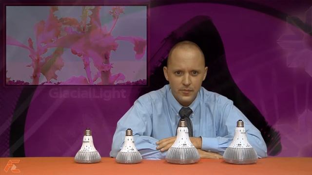 Светодиодные лампы GlacialLight для растений смотреть онлайн