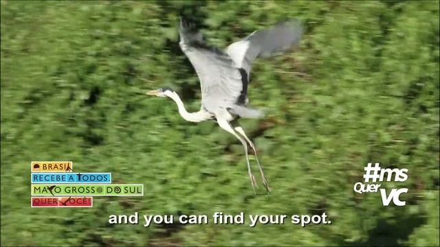 Turismo Mato Grosso Do Sul