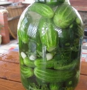 Огурцы холодным посолом  Рецепт.