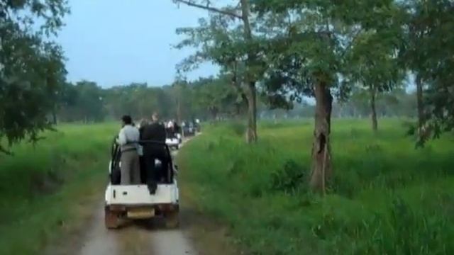 Tourist Attractions in Kaziranga National Park, Assam (HD) смотреть онлайн