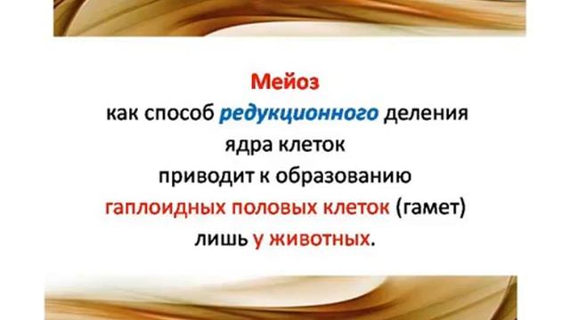 Как подготовиться к сдаче ЕГЭ по биологии смотреть онлайн