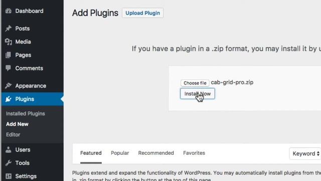 Cab Grid Pro - Updating the plugin via Wordpress Admin смотреть онлайн