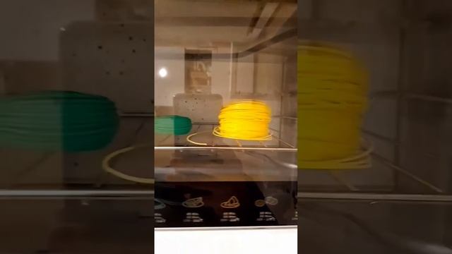 Восхитительный Ali...