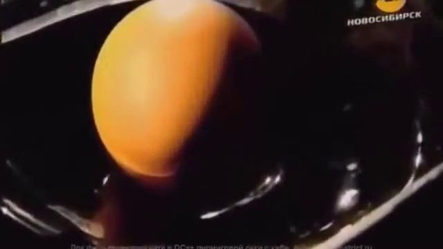 Влияние сотового телефона на головной мозг. смотреть онлайн