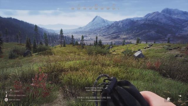 Camera Shy, Aurora Shores | Way of the Hunter (PS5 4K) смотреть онлайн