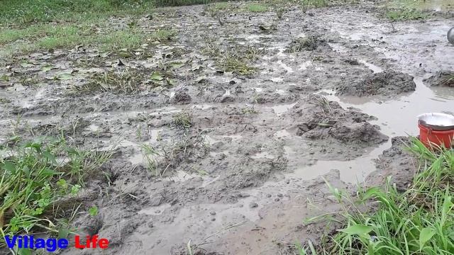Unique Hand Fishing - Best Hand Fishing - Survival Skills Hand Fishing смотреть онлайн