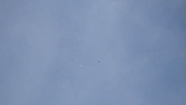 UFO COUPLE SPACESHIPS | ITALY | SEP 2007 смотреть онлайн