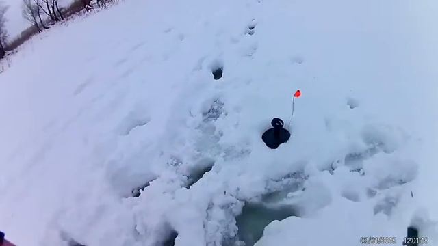 #28 Самарка. Жерлицы. 19.02.2017 смотреть онлайн