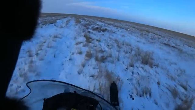 охота на волков!преследовали волков 115км смотреть онлайн