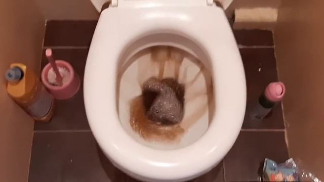 У меня из унитаза льется кока кола смотреть онлайн