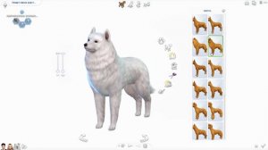 The Sims 4 Кошки и собаки: #1 «Самые милые питомцы!»