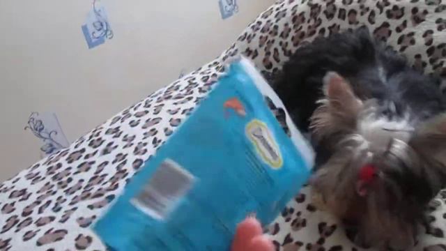 Покупки из Зоо) смотреть онлайн