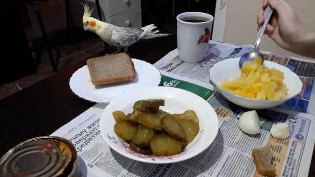 Дело было вечером или где найти покой?)))