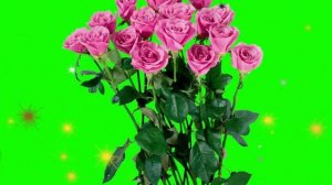 ФУТАЖ - БУКЕТ РОЗ НА ХРОМАКЕЕ