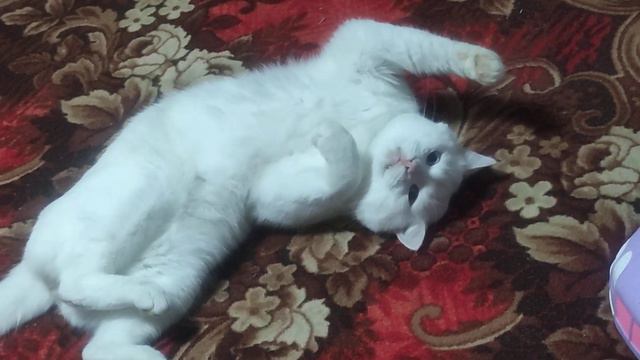 ЛЮБОФФФ смотреть онлайн