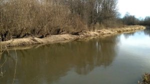 Как искать налима на мелкоречке весной и осенью