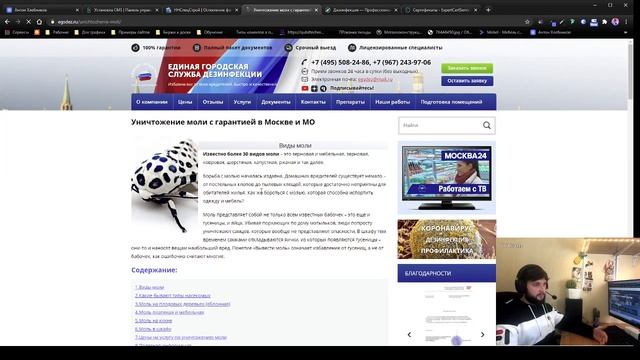 Разбор сайта компании дезинфекции смотреть онлайн