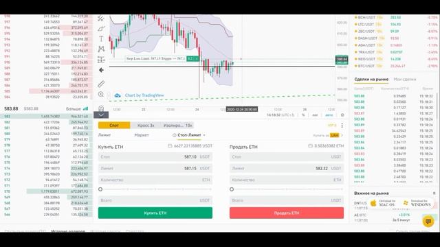 Торговля на бирже Бинанс. Урок №4. Стоп-лимитные ордера. Трейдинг для новичков. смотреть онлайн