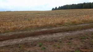 Поиск металла по полям. Или где искать металл когда не куда ехать???