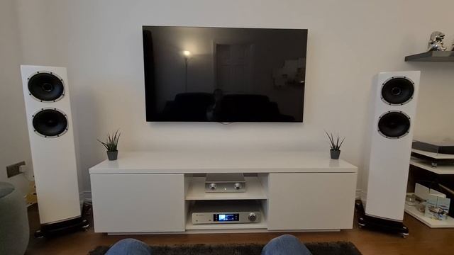 Fyne Audio F501 Demo