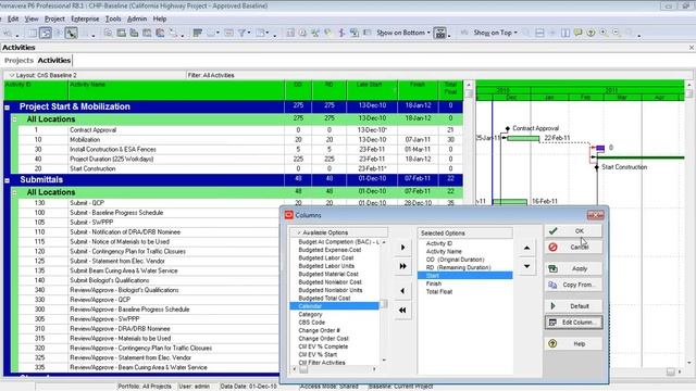 Primavera P6: Format Columns смотреть онлайн