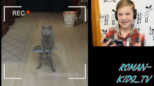 Кот сидит в Instagram?!/Такое возможно?!/Реакция/Роман Трифонов смотреть онлайн