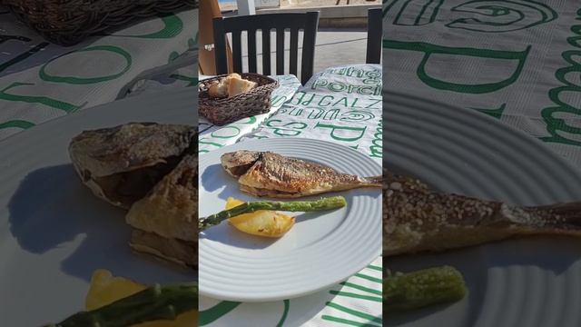 Калафель-Таррагона-Испания-Коста Дорада смотреть онлайн