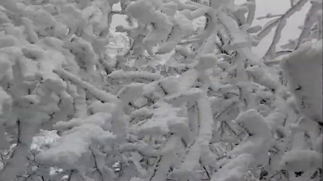 Зима в Пятигорске, Эолова арфа, бесстыжие ванны смотреть онлайн