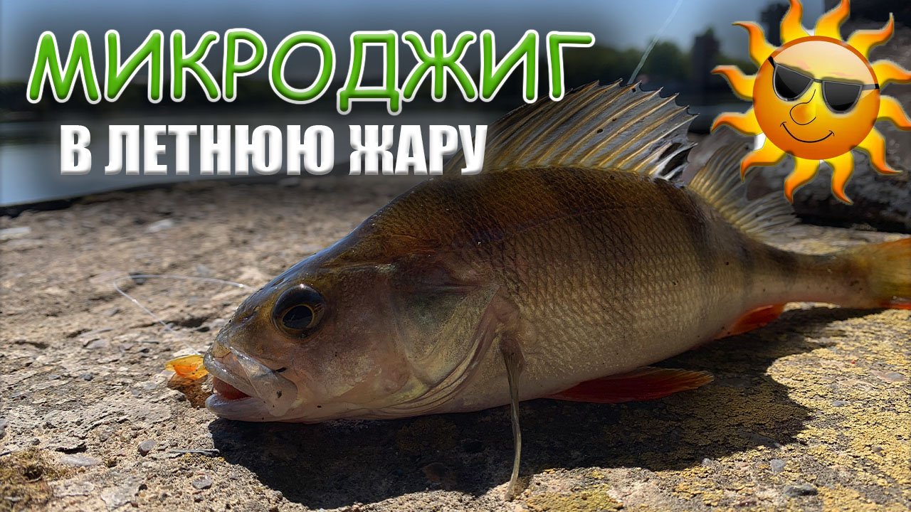 Ловля окуня в жару- Рыбалка с берега смотреть онлайн