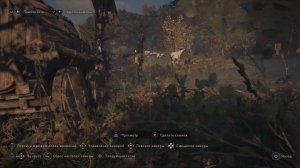 Assassin's Creed Valhalla Коготь Вальравна