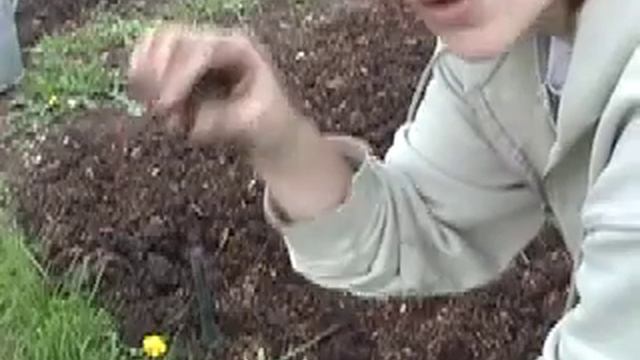 More onions and carrots - Claire's Allotment part 25 смотреть онлайн