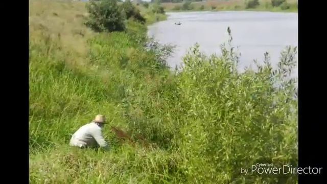10 января 2020 г. смотреть онлайн