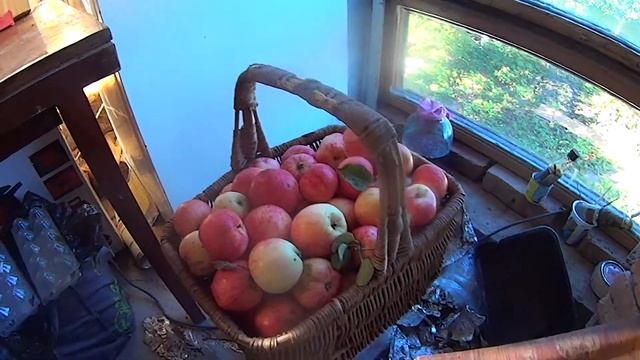 Заполнение духовки http://vermitechnologii.ru/ яблоками14.09.2016. 1 смотреть онлайн