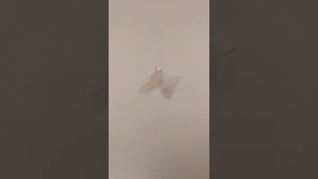 дырка в натяжном потолке, - простое решение смотреть онлайн